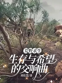 荒野求生：生存与希望的交响曲