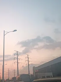 那片海是腐烂的玫瑰