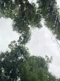 雾散雨停，故事结束