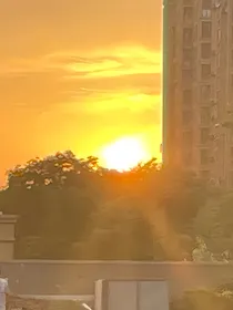 奇怪的家伙们