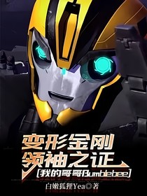 变形金刚领袖之证之我的哥哥Bumblebee