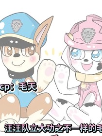 汪汪队立大功之不一样的毛毛