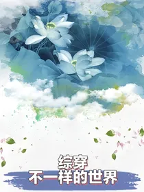 综穿不一样的世界