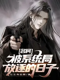 名柯：被系统局放逐的日子