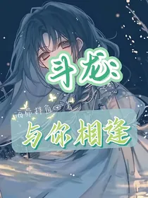斗龙：与你相逢