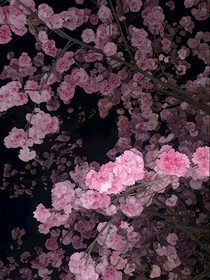 文案群1