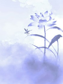 小说素材图片库