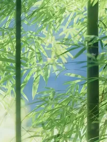 林间草玉，石上青杉