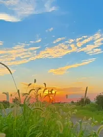 一生幻一世想（后续）