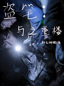 盗笔：与之重楼