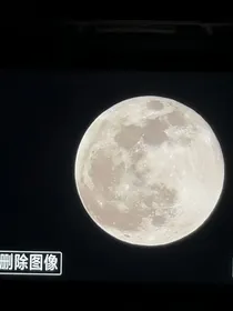 烟寻魂常在