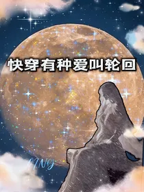 快穿有种爱叫轮回