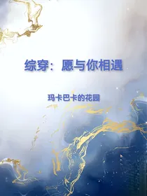 综穿：愿与你相遇