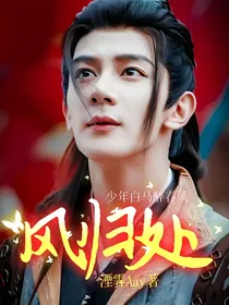 少年白马醉春风：风归处