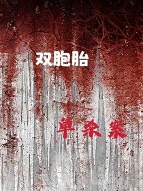 双胞胎单杀案