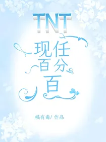 TNT：现任百分百