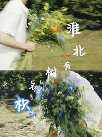 淮北有树名为枳