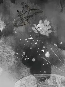 笨猪拱白菜