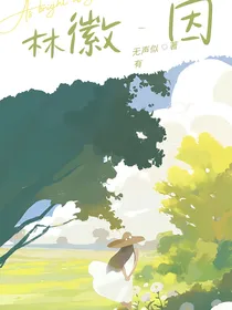 爱上一座城（林徽因）
