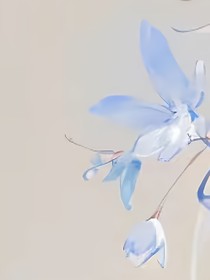 兽世：开心快活每一天