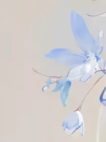 兽世：开心快活每一天
