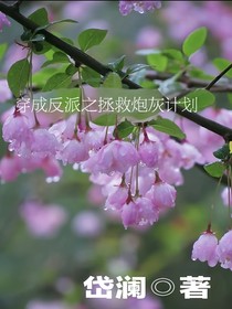 穿成反派之拯救炮灰计划