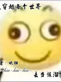 当我穿越各个世界，去当该溜子