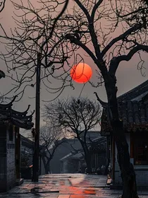 你还不是正常人类？