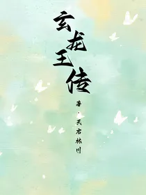玄龙王传