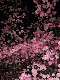生想