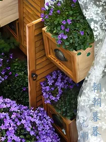 朝朝暮暮无期