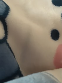 钻石狗狗和文宫