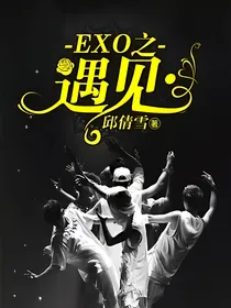 EXO之遇见……