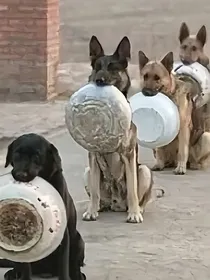 全职猎人：游戏