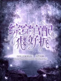 综穿之官配很好拆