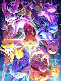 晴半月的小说预告片（宝可梦，猫武士，伊布家族）公告
