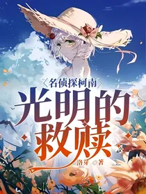 名侦探柯南：光明的救赎