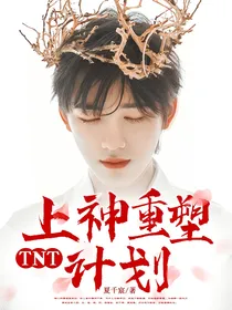 TNT：上神重塑计划