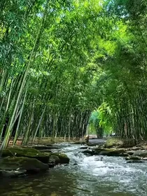 虚拟人生（作者想象出来的）