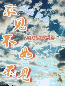 不见不如不见