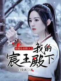 穿越皇帝陛下之我的宸王殿下