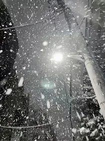 最后一片雪