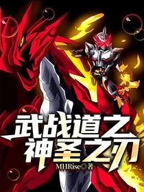 武战道之神圣之刃