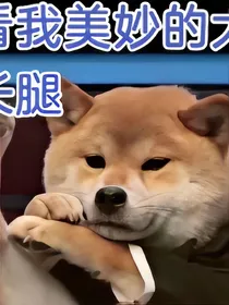 人心解剖图