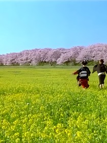 腹黑千金闯入娱乐圈