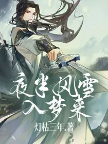 夜半风雪入梦来