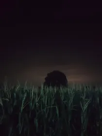 诡行鬼影