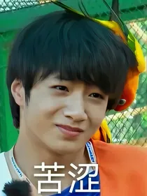 应该是日记