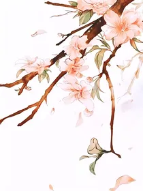 综穿：美男攻虐记