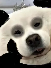 末日小李求生记